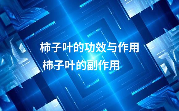 柿子叶的功效与作用 柿子叶的副作用